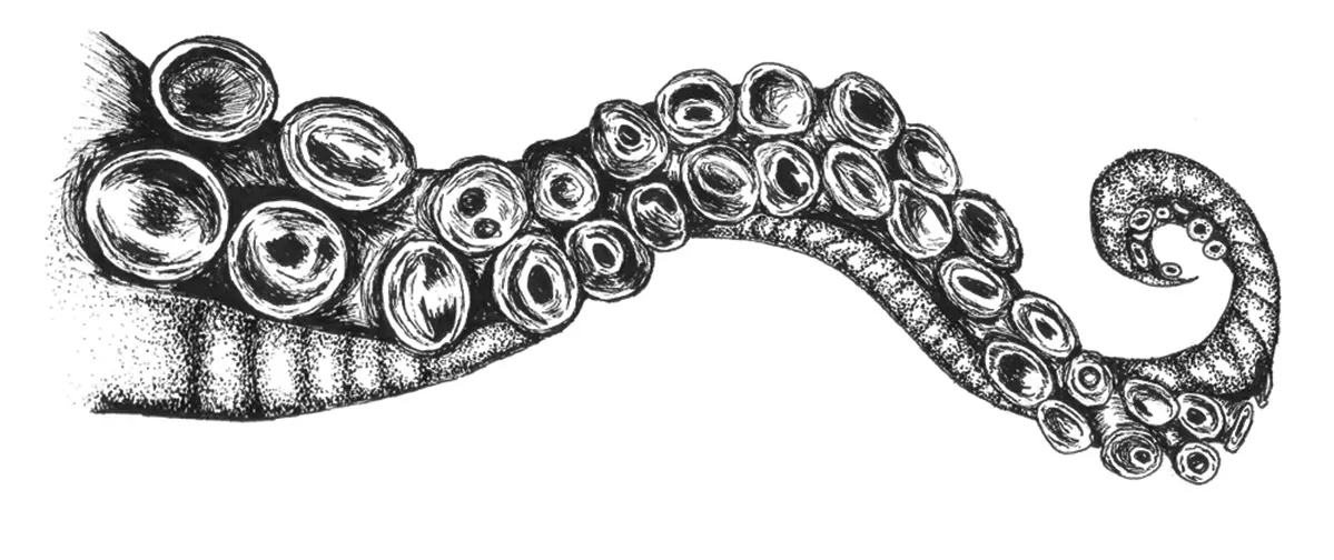 OCTOPUS: Security Framework Design Study